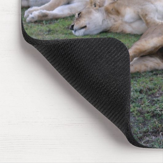 Löwen napping - Mousepad (Ecke)