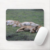 Löwen napping - Mousepad (Mit Mouse)
