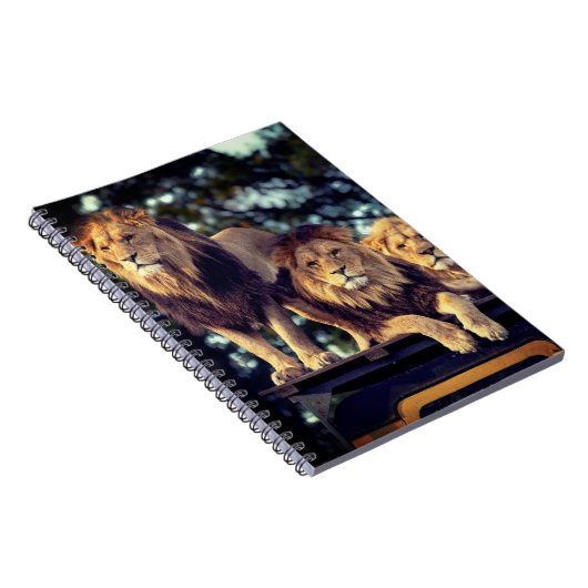 Löwen Notizblock (Rechte Seite)