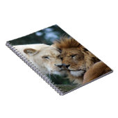 Löwen Notizblock (Rechte Seite)