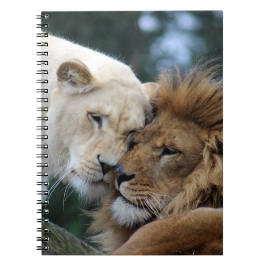 Löwen Notizblock (Vorderseite)