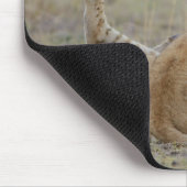 Löwen (Panthera leo), Grasjungen, Masai Mousepad (Ecke)