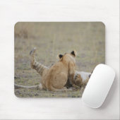 Löwen (Panthera leo), Grasjungen, Masai Mousepad (Mit Mouse)