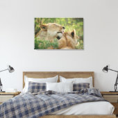 Löwen, Panthera leo grooming, Südafrika Leinwanddruck (Insitu (Schlafzimmer))