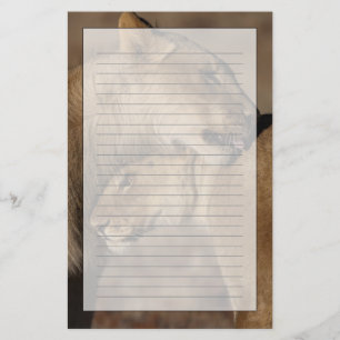Löwen (Panthera Löwe) passen Abbinden, Skelett Briefpapier
