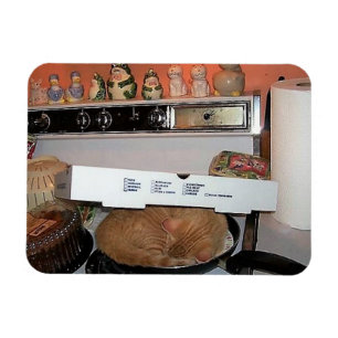 Löwen Pizza-Decke Magnet