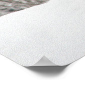 Löwen Poster (Ecke)