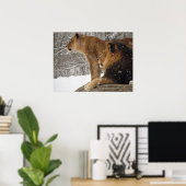 Löwen Poster (Heimbüro)