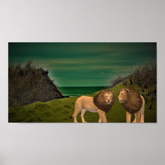 Löwen Poster (Vorne)