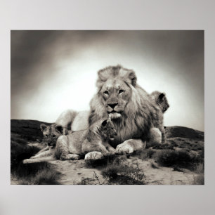 Löwen Poster