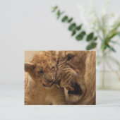 Löwen Postkarte (Stehend Vorderseite)