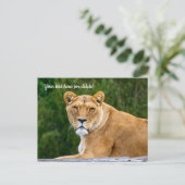 Löwen-Postkarte Postkarte (Stehend Vorderseite)