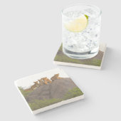 Löwen sehen die Szene von dort Rock Perch Steinuntersetzer (Seitenansicht)