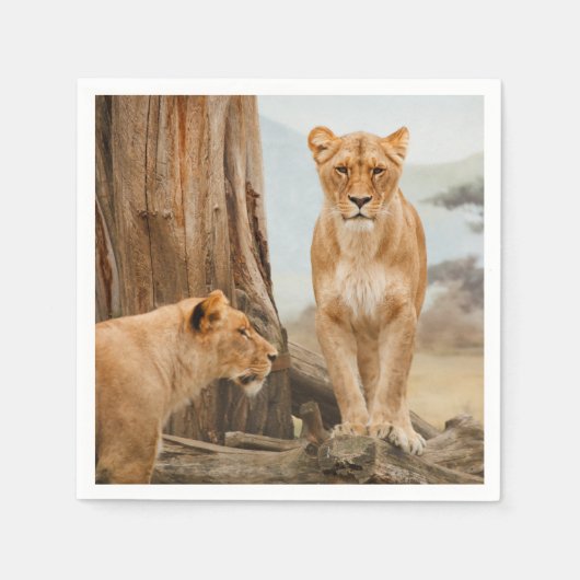 Löwen Serviette (Vorderseite)