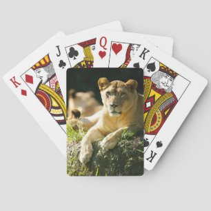 Löwen Spielkarten