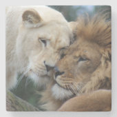 Löwen Steinuntersetzer (Vorderseite)