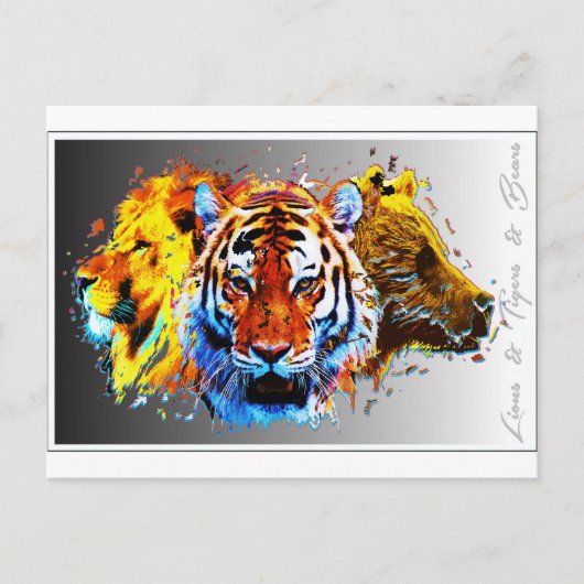 Löwen & Tiger & Bären.jpg Postkarte (Vorderseite)