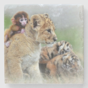 Löwen, Tiger und Affen Steinuntersetzer