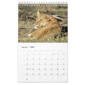 Löwen tragen 2014 ein (Single-Seite) Kalender (Jan 2027)