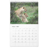 Löwen tragen 2014 ein (Single-Seite) Kalender (Mär 2027)
