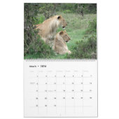 Löwen tragen 2014 ein (Zwei-Seite) Kalender (Mär 2026)