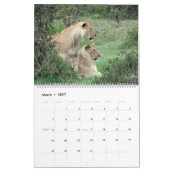 Löwen tragen 2014 ein (Zwei-Seite) Kalender (Mär 2027)