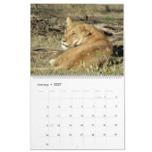 Löwen tragen 2014 ein (Zwei-Seite) Kalender (Jan 2027)