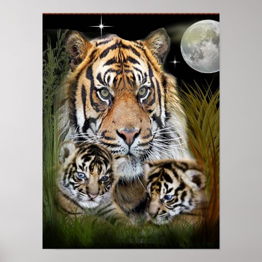 Löwen und Cubs Poster (Vorne)