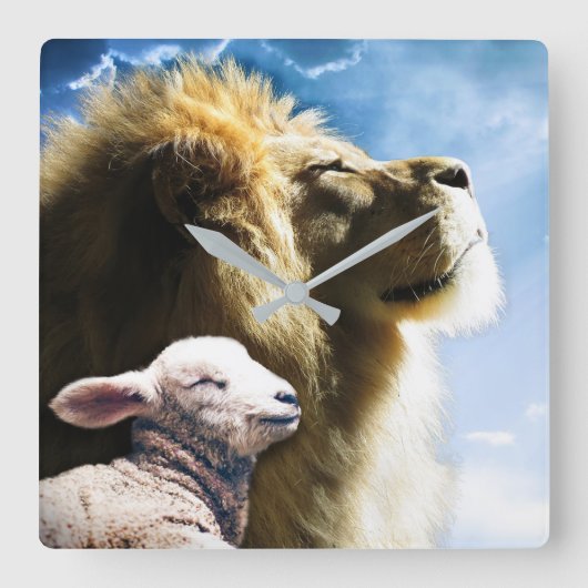 Löwen- und Lamm-Wandschloss Quadratische Wanduhr (Vorderseite)