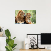 Löwen und Lioness Pair Poster (Heimbüro)