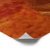 Löwen und Löwen 24" x 24", Value Poster Paper (Ecke)