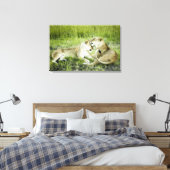 Löwen und Löwen, Afrika 2 Leinwanddruck (Insitu (Schlafzimmer))
