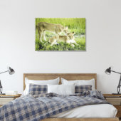 Löwen und Löwen, Afrika Leinwanddruck (Insitu (Schlafzimmer))