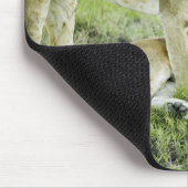 Löwen und Löwen, Afrika Mousepad (Ecke)