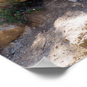 Löwen und Löwen, die auf den Felsen spazieren Poster (Ecke)