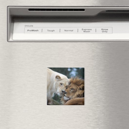 Löwen und Löwen Magnet (In Situ (Geschirrspüler))