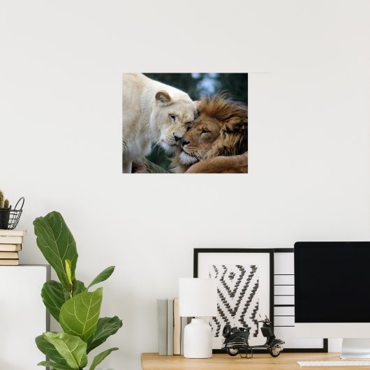 Löwen und Löwen Poster (Heimbüro)