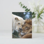 Löwen und Löwen Postkarte (Stehend Vorderseite)