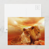 Löwen und Löwen Postkarte (Vorne/Hinten)