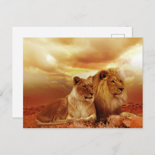 Löwen und Löwen Postkarte (Vorne/Hinten)
