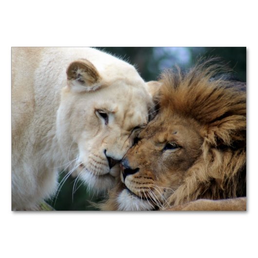 Löwen und Löwen Tischnummer (Rückseite)