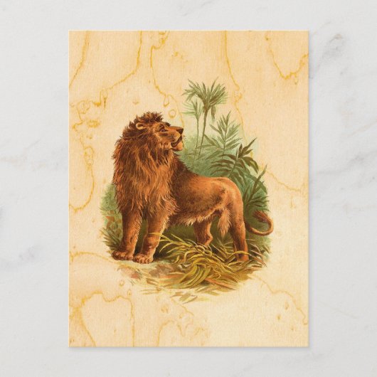 Löwen und Palmen Vintag Postkarte (Vorderseite)
