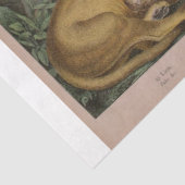 Löwen und Tiger Ephemera Decoupage Seidenpapier (Ausschnitt)