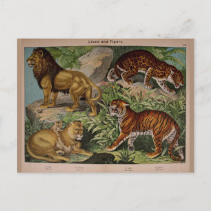 Löwen und Tiger Vintage-Kunst Ephemera Postkarte