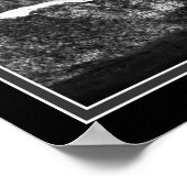 Löwen verlieren nicht den Schlaf wegen der Meinung Poster (Ecke)