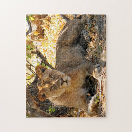 Löwen von Afrika. Puzzle (Vertikal)