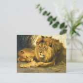 Löwen von Wilhelm Kuhnert Postkarte (Stehend Vorderseite)