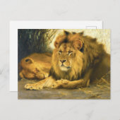 Löwen von Wilhelm Kuhnert Postkarte (Vorne/Hinten)