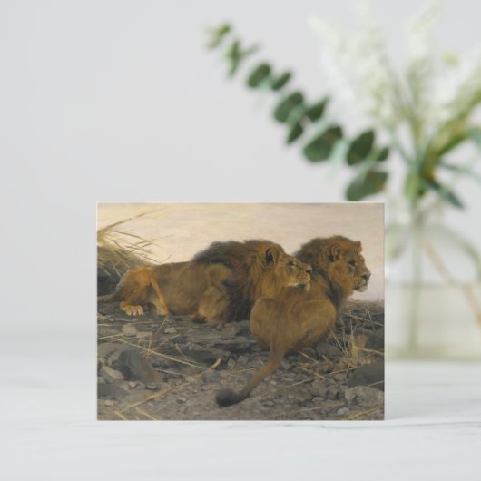 Löwen von Wilhelm Kuhnert Postkarte (Stehend Vorderseite)