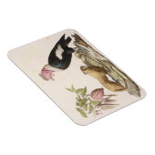 Löwenaffe und -condor, in Chile oder Ecuador gebor Magnet (Rechte Seite)